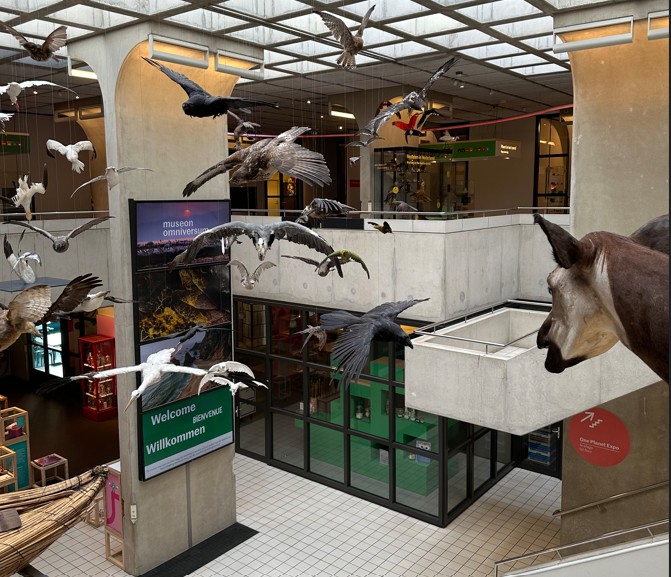 Renovatie ook tijdens openingstijden Museon-Omniversum